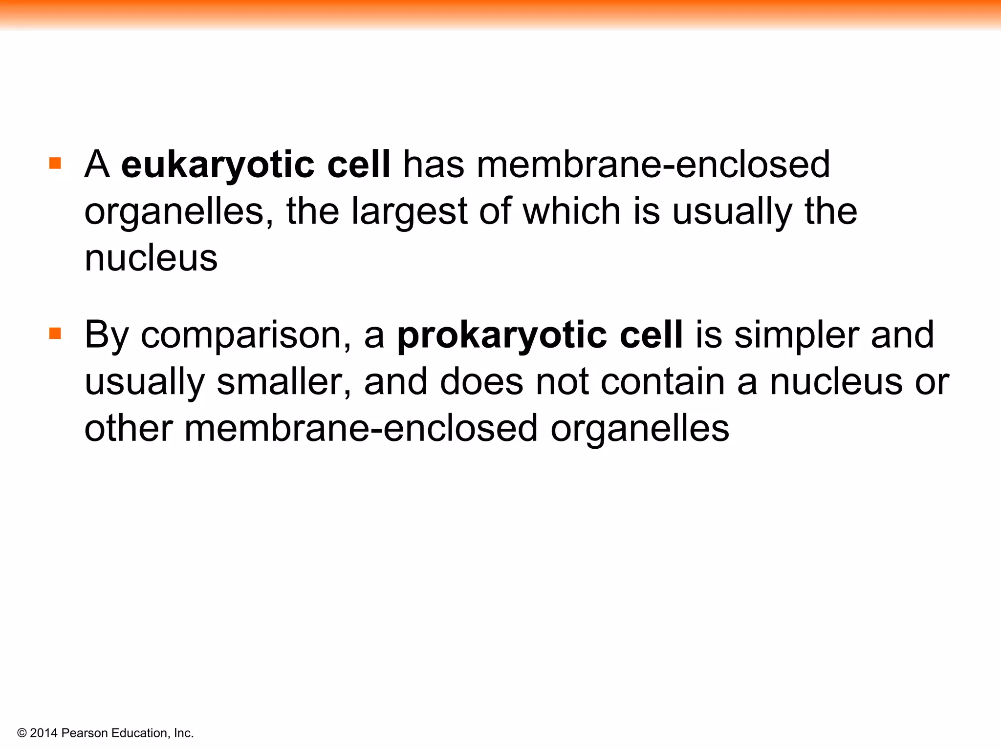 © 2014 Pearson Education, Inc.
 A eukaryotic cell has membrane-enclosed
organelles, the largest of which is usually the
nucleus
 By comparison, a prokaryotic cell is simpler and
usually smaller, and does not contain a nucleus or
other membrane-enclosed organelles
 