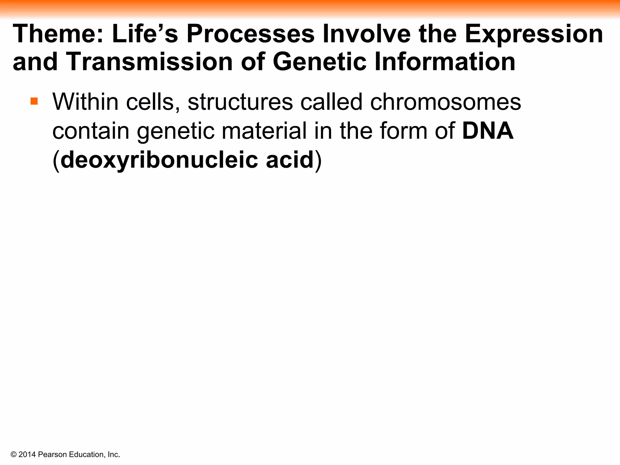 © 2014 Pearson Education, Inc.
Theme: Life’s Processes Involve the Expression
and Transmission of Genetic Information
 Within cells, structures called chromosomes
contain genetic material in the form of DNA
(deoxyribonucleic acid)
 