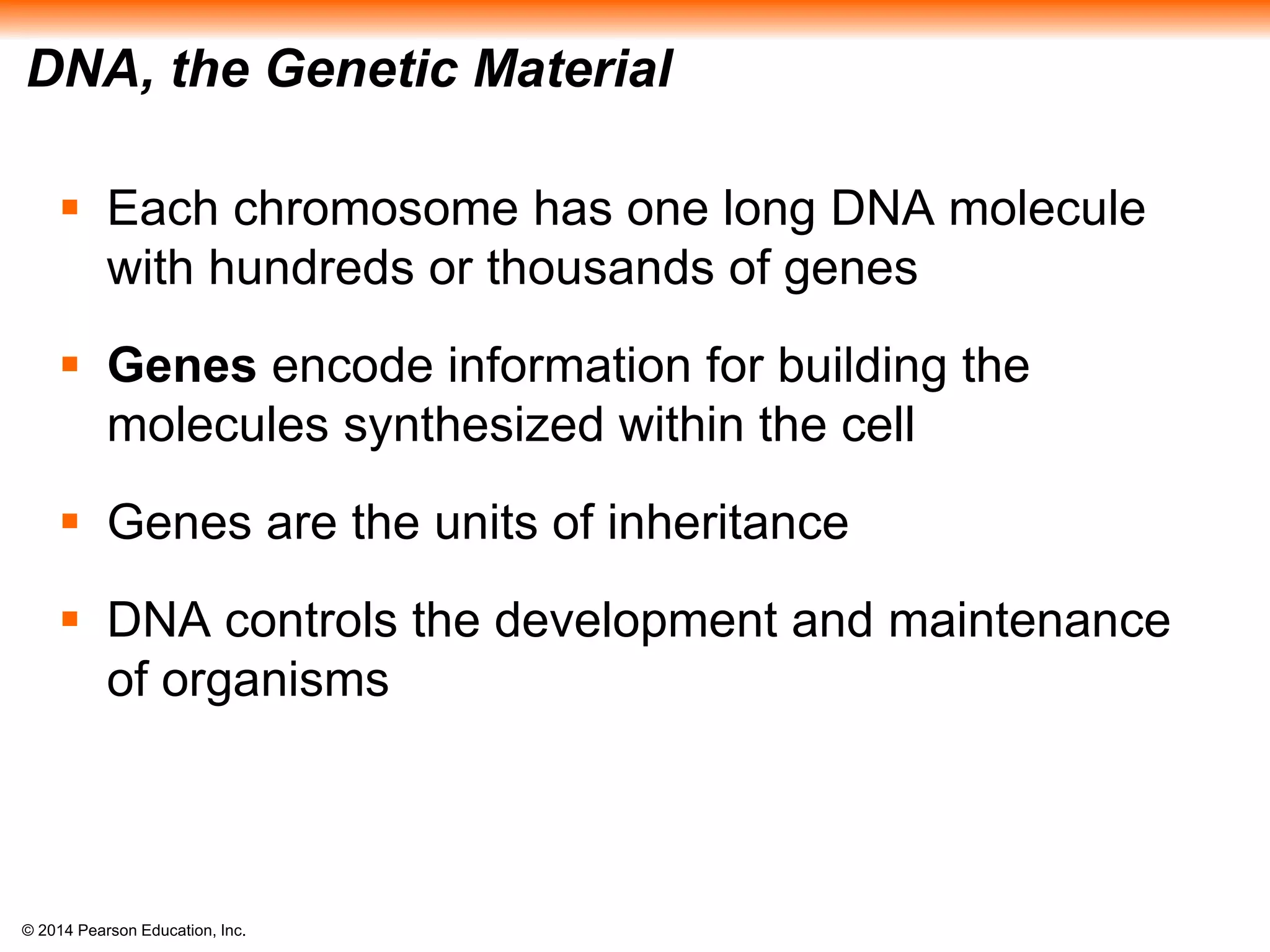 © 2014 Pearson Education, Inc.
DNA, the Genetic Material
 Each chromosome has one long DNA molecule
with hundreds or thousands of genes
 Genes encode information for building the
molecules synthesized within the cell
 Genes are the units of inheritance
 DNA controls the development and maintenance
of organisms
 