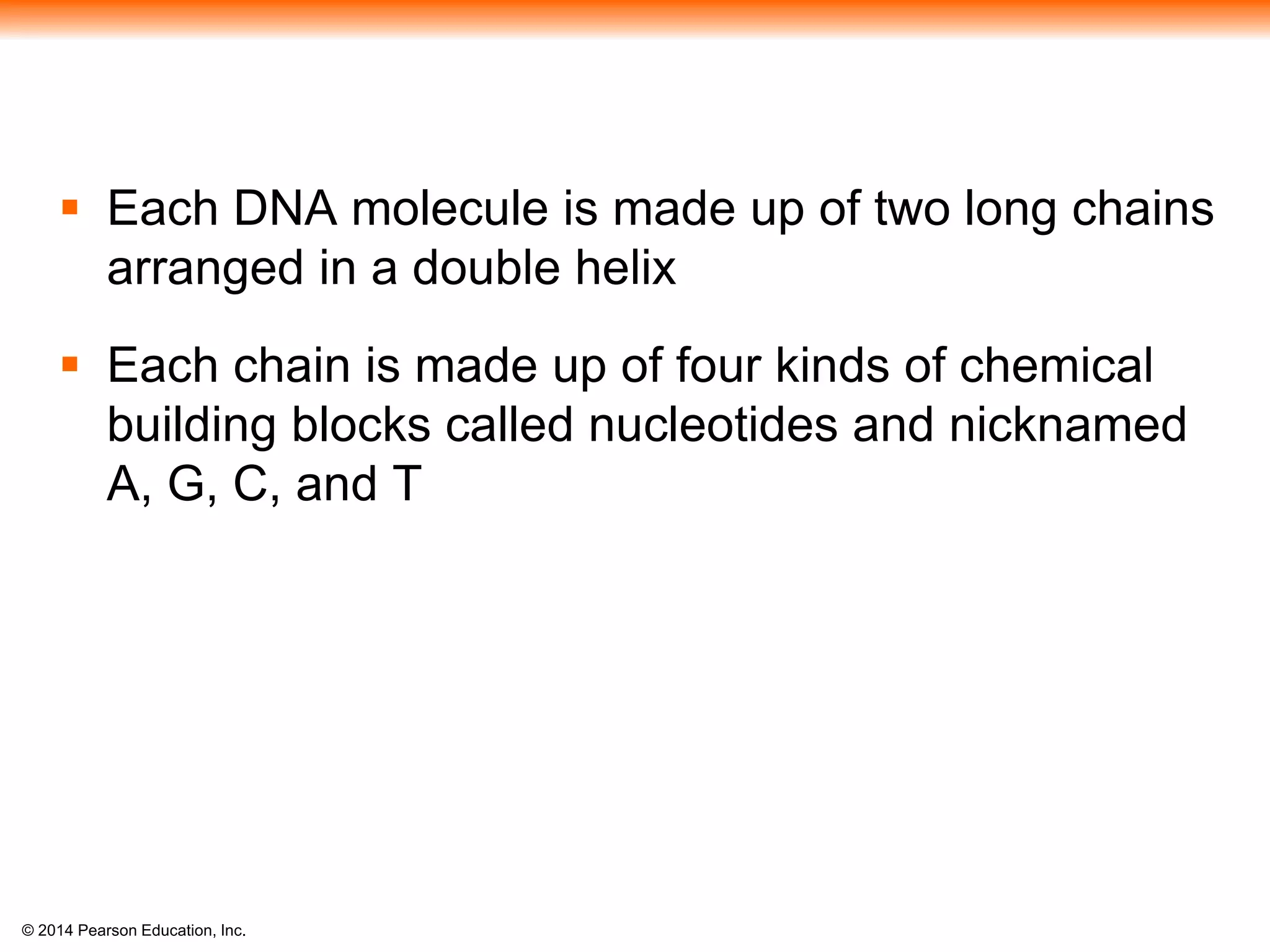 © 2014 Pearson Education, Inc.
 Each DNA molecule is made up of two long chains
arranged in a double helix
 Each chain is made up of four kinds of chemical
building blocks called nucleotides and nicknamed
A, G, C, and T
 