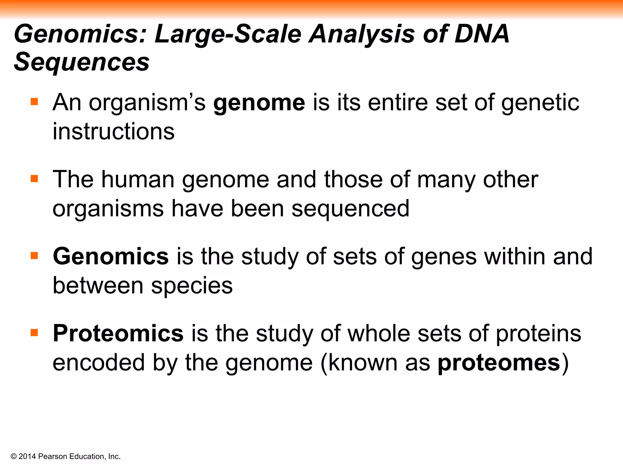 © 2014 Pearson Education, Inc.
Genomics: Large-Scale Analysis of DNA
Sequences
 An organism’s genome is its entire set of genetic
instructions
 The human genome and those of many other
organisms have been sequenced
 Genomics is the study of sets of genes within and
between species
 Proteomics is the study of whole sets of proteins
encoded by the genome (known as proteomes)
 