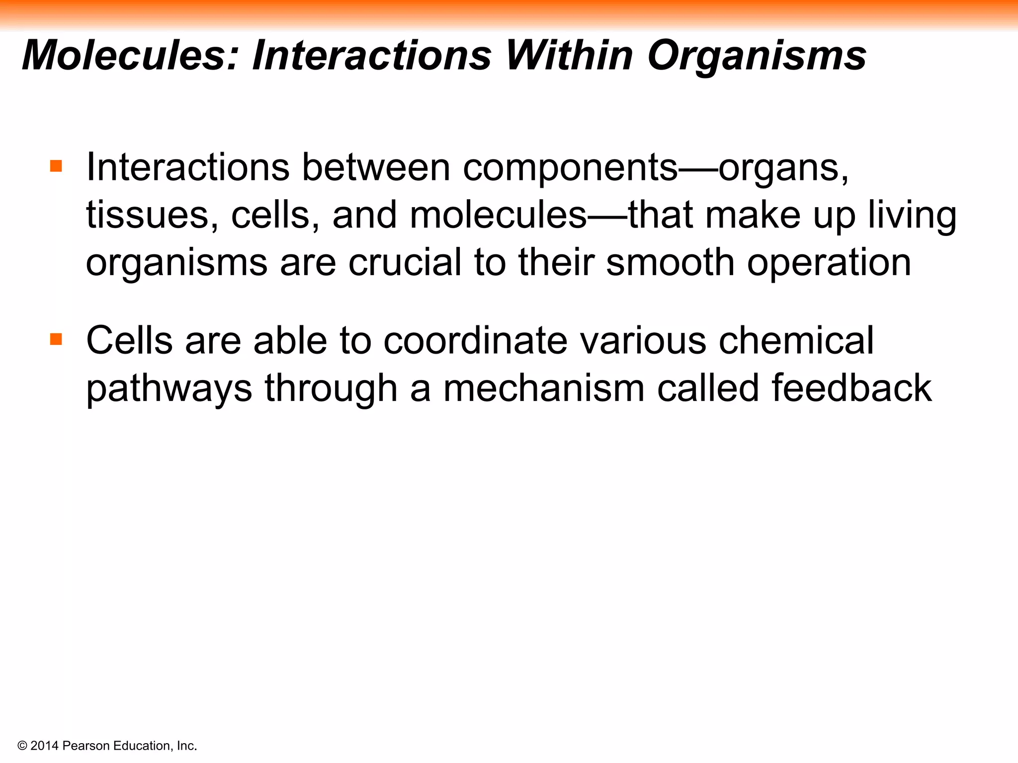 © 2014 Pearson Education, Inc.
Molecules: Interactions Within Organisms
 Interactions between components—organs,
tissues, cells, and molecules—that make up living
organisms are crucial to their smooth operation
 Cells are able to coordinate various chemical
pathways through a mechanism called feedback
 