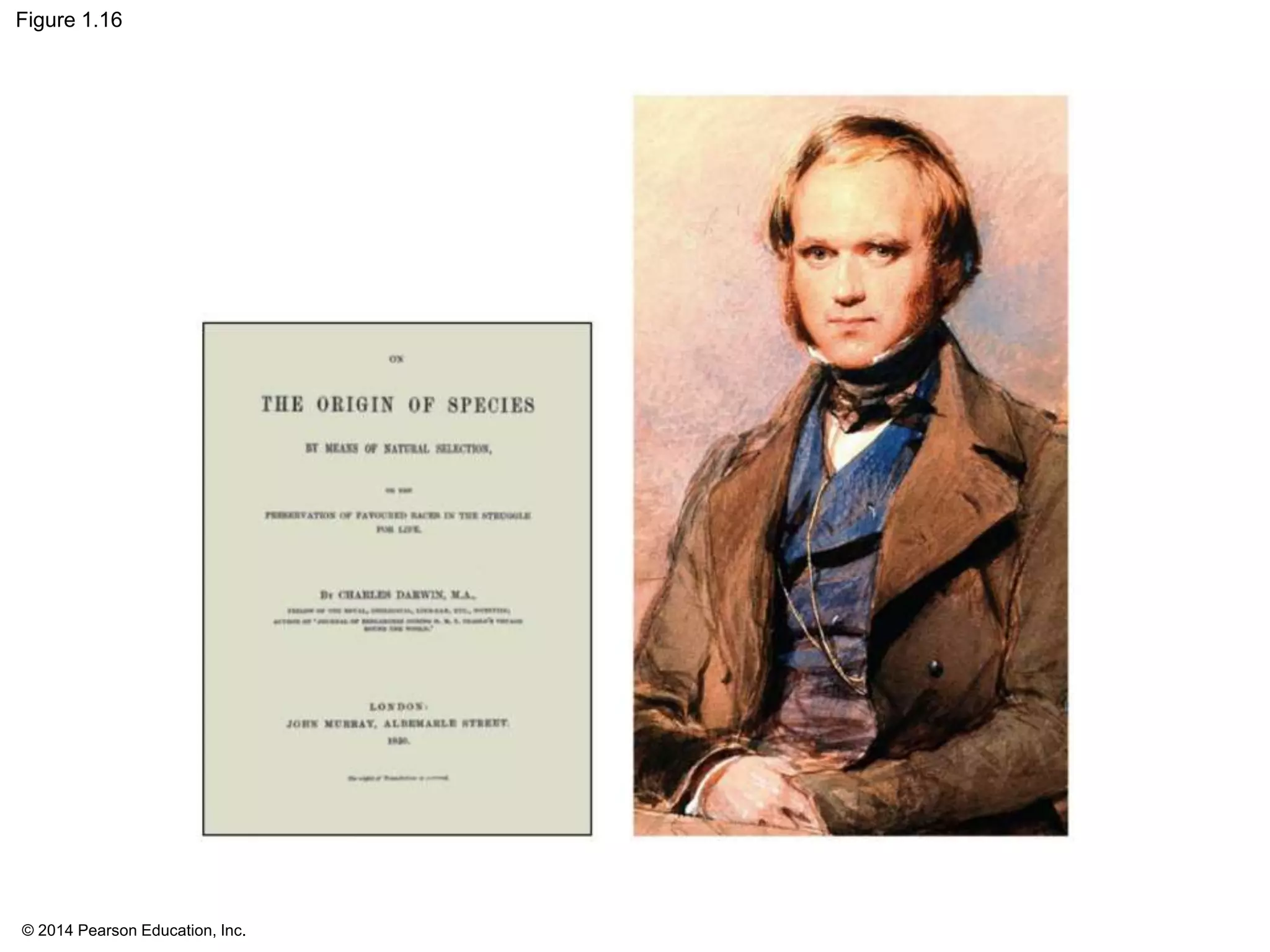 © 2014 Pearson Education, Inc.
Figure 1.16
 