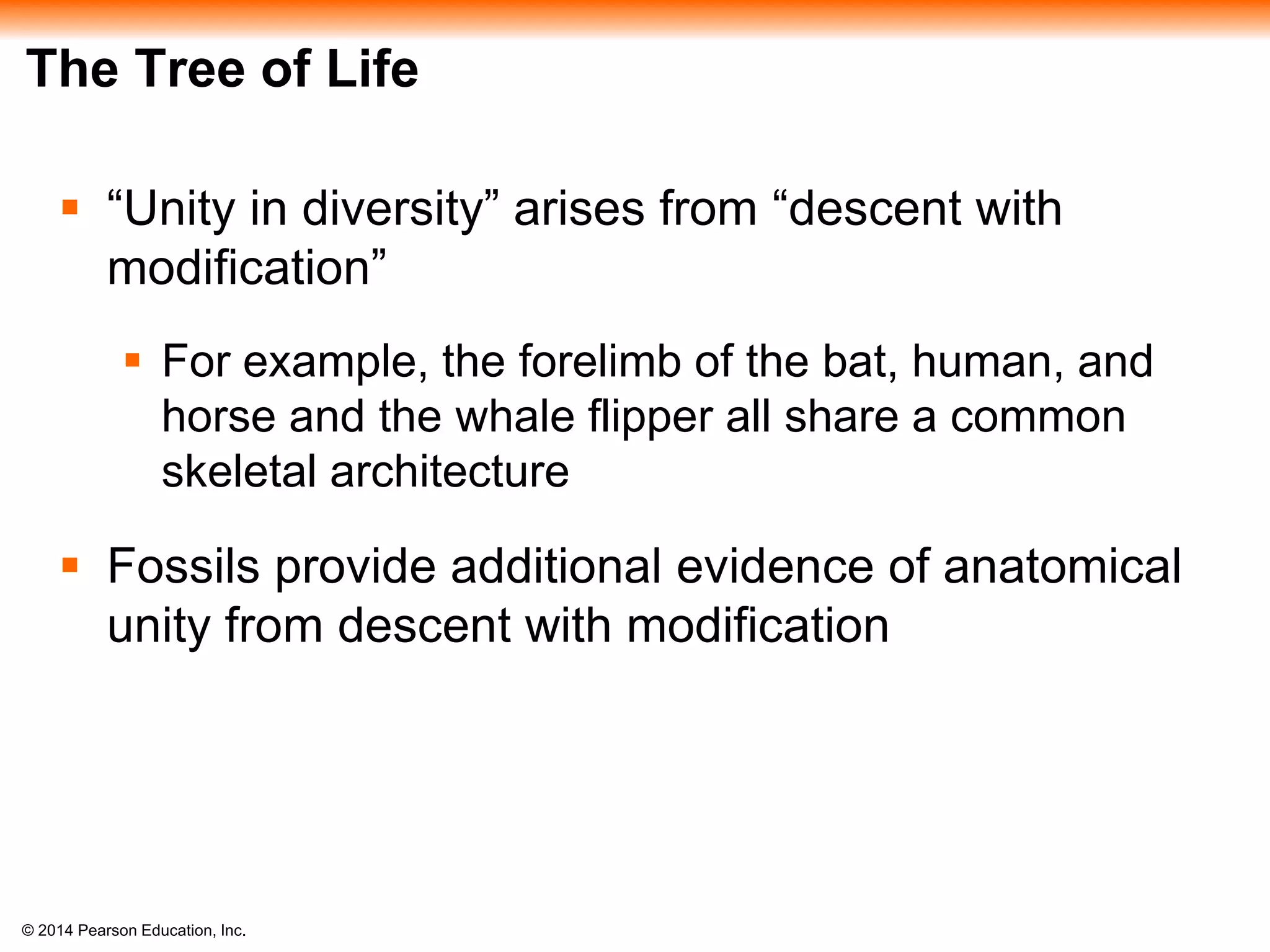 © 2014 Pearson Education, Inc.
The Tree of Life
 “Unity in diversity” arises from “descent with
modification”
 For example, the forelimb of the bat, human, and
horse and the whale flipper all share a common
skeletal architecture
 Fossils provide additional evidence of anatomical
unity from descent with modification
 