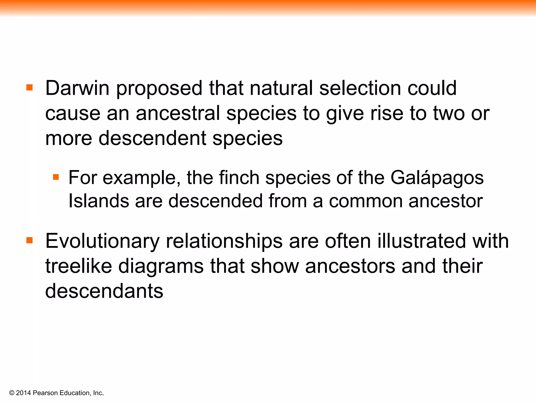 © 2014 Pearson Education, Inc.
 Darwin proposed that natural selection could
cause an ancestral species to give rise to two or
more descendent species
 For example, the finch species of the Galápagos
Islands are descended from a common ancestor
 Evolutionary relationships are often illustrated with
treelike diagrams that show ancestors and their
descendants
 