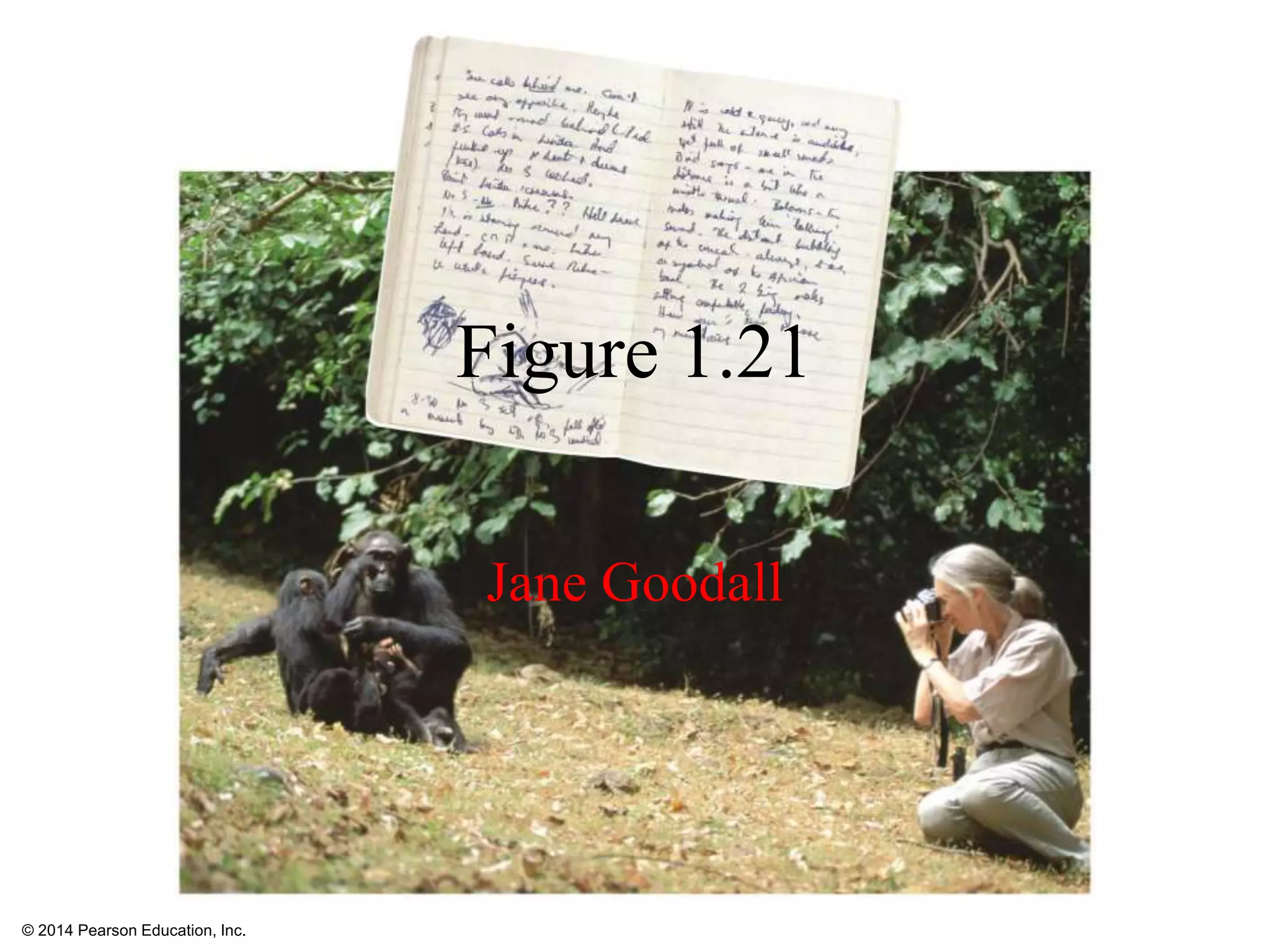 © 2014 Pearson Education, Inc.
Figure 1.21
Jane Goodall
 