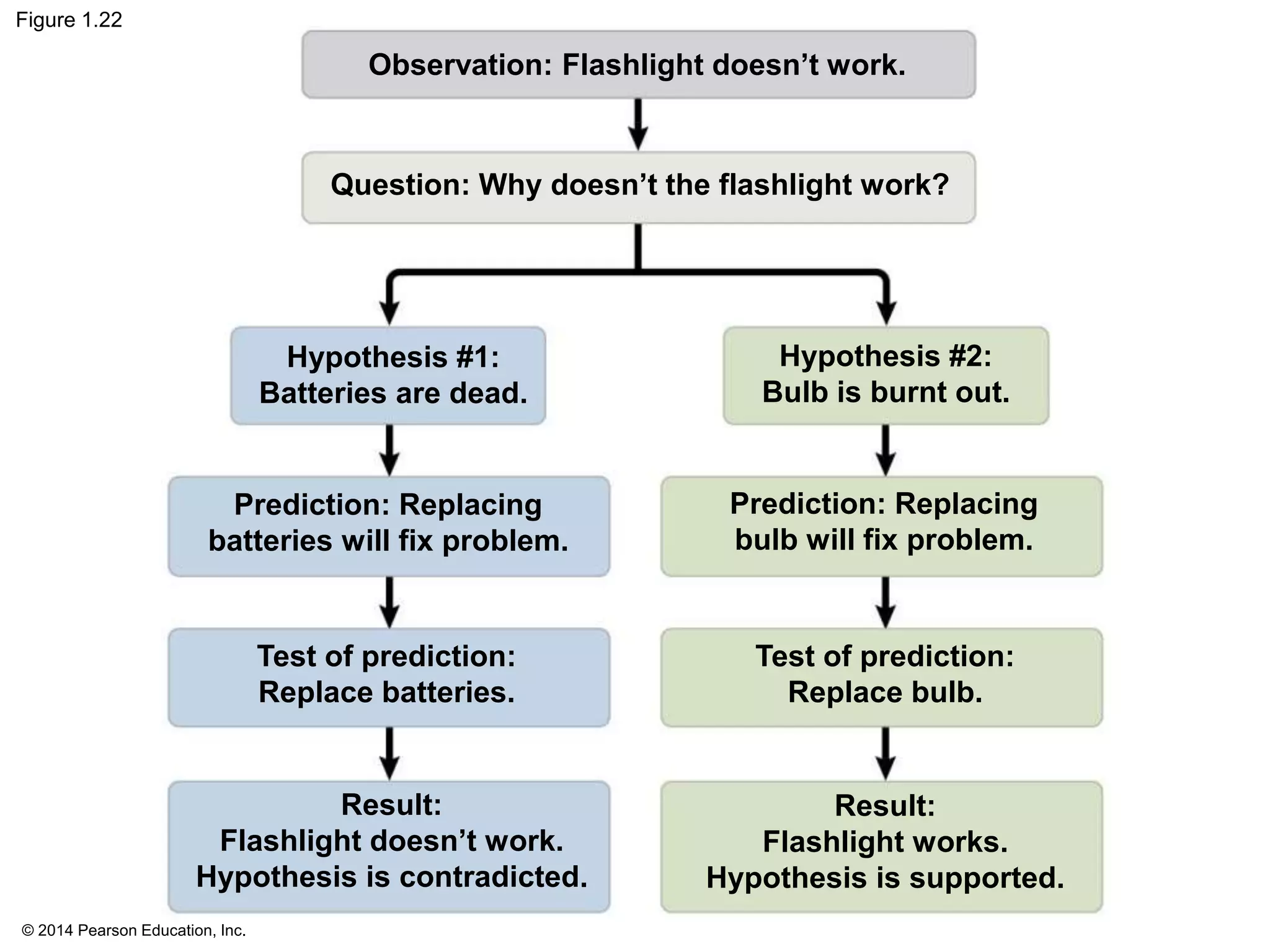 © 2014 Pearson Education, Inc.
Figure 1.22
Observation: Flashlight doesn’t work.
Question: Why doesn’t the flashlight work?
Hypothesis #1:
Batteries are dead.
Hypothesis #2:
Bulb is burnt out.
Prediction: Replacing
bulb will fix problem.
Test of prediction:
Replace bulb.
Result:
Flashlight works.
Hypothesis is supported.
Result:
Flashlight doesn’t work.
Hypothesis is contradicted.
Test of prediction:
Replace batteries.
Prediction: Replacing
batteries will fix problem.
 