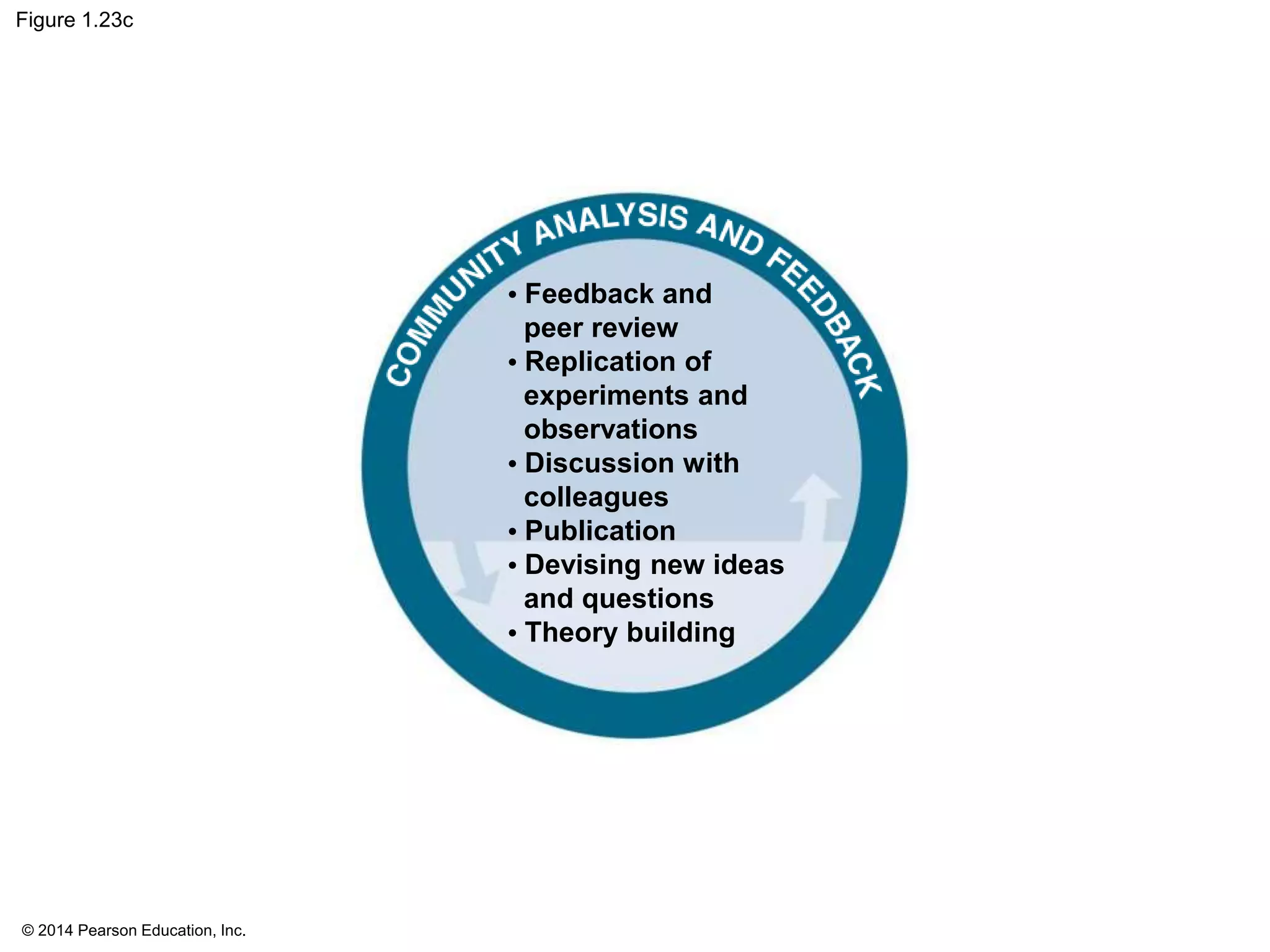 © 2014 Pearson Education, Inc.
Figure 1.23c
• Feedback and
peer review
• Replication of
experiments and
observations
• Discussion with
colleagues
• Publication
• Devising new ideas
and questions
• Theory building
 