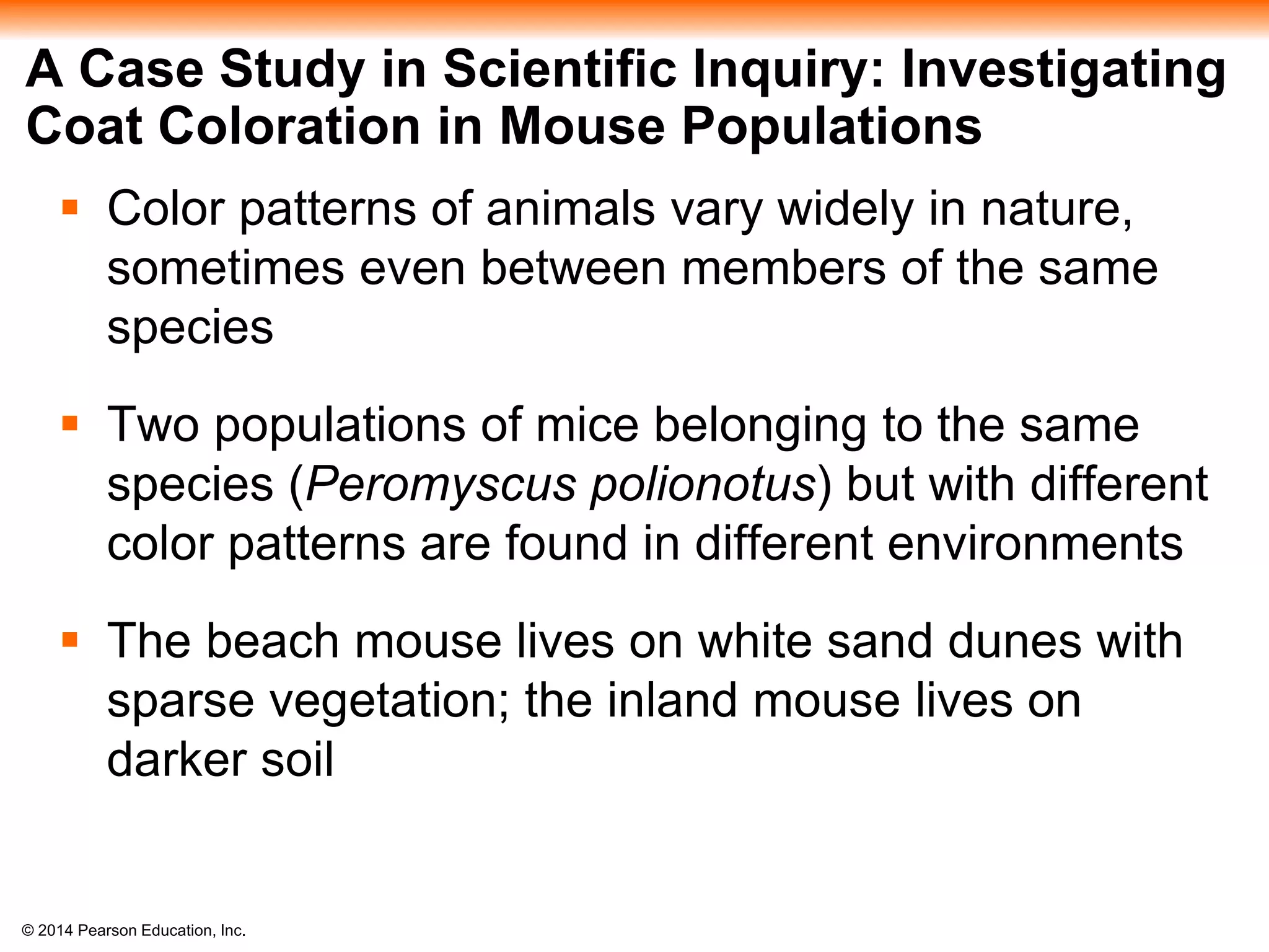 © 2014 Pearson Education, Inc.
A Case Study in Scientific Inquiry: Investigating
Coat Coloration in Mouse Populations
 Color patterns of animals vary widely in nature,
sometimes even between members of the same
species
 Two populations of mice belonging to the same
species (Peromyscus polionotus) but with different
color patterns are found in different environments
 The beach mouse lives on white sand dunes with
sparse vegetation; the inland mouse lives on
darker soil
 
