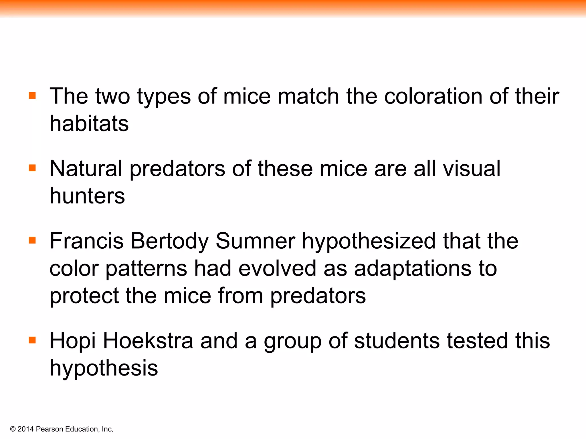 © 2014 Pearson Education, Inc.
 The two types of mice match the coloration of their
habitats
 Natural predators of these mice are all visual
hunters
 Francis Bertody Sumner hypothesized that the
color patterns had evolved as adaptations to
protect the mice from predators
 Hopi Hoekstra and a group of students tested this
hypothesis
 