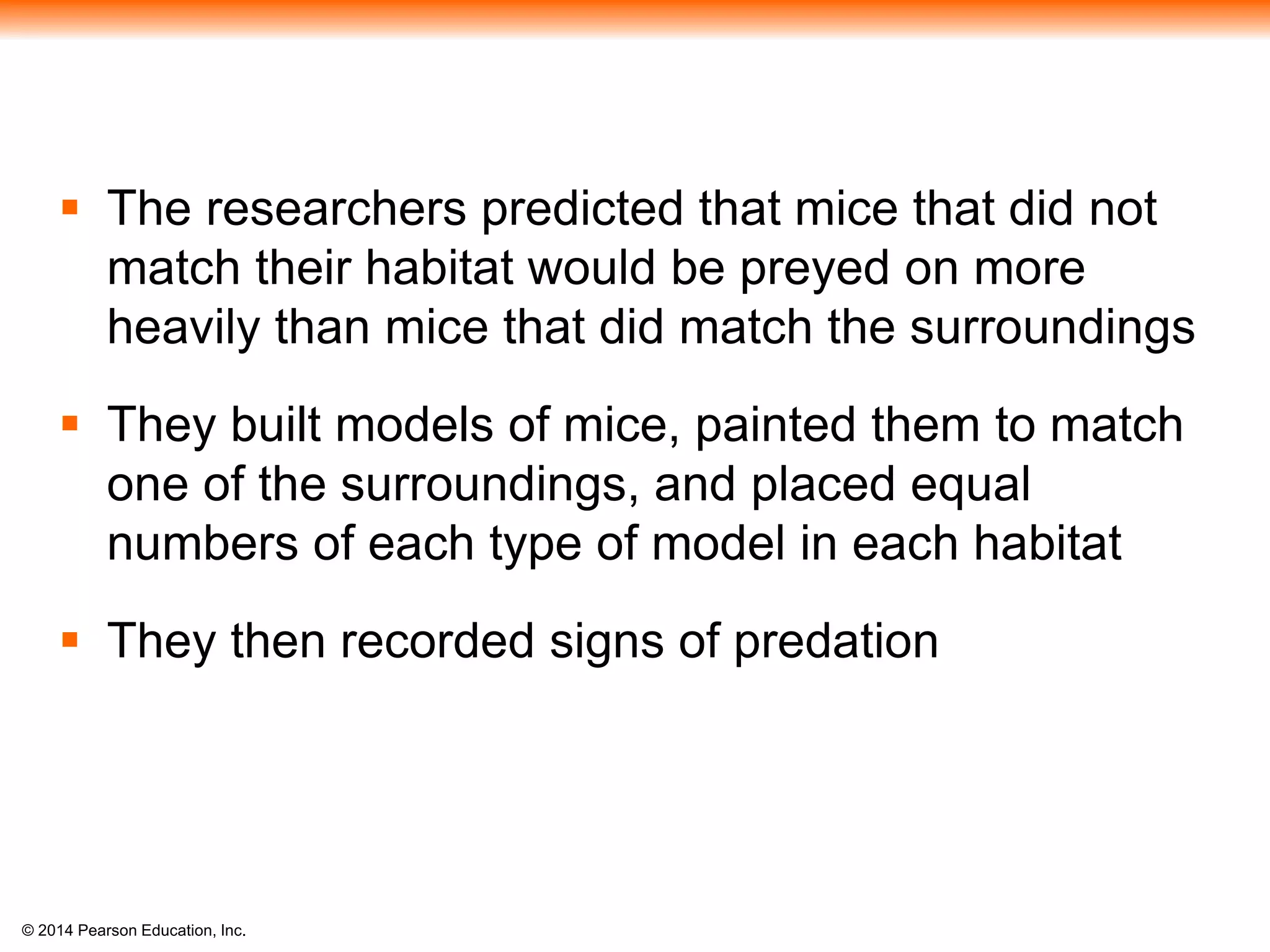 © 2014 Pearson Education, Inc.
 The researchers predicted that mice that did not
match their habitat would be preyed on more
heavily than mice that did match the surroundings
 They built models of mice, painted them to match
one of the surroundings, and placed equal
numbers of each type of model in each habitat
 They then recorded signs of predation
 