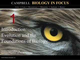 CAMPBELL BIOLOGY IN FOCUS
© 2014 Pearson Education, Inc.
Urry • Cain • Wasserman • Minorsky • Jackson • Reece
Lecture Presentations by
Kathleen Fitzpatrick and Nicole Tunbridge
1
Introduction:
Evolution and the
Foundations of Biology
 