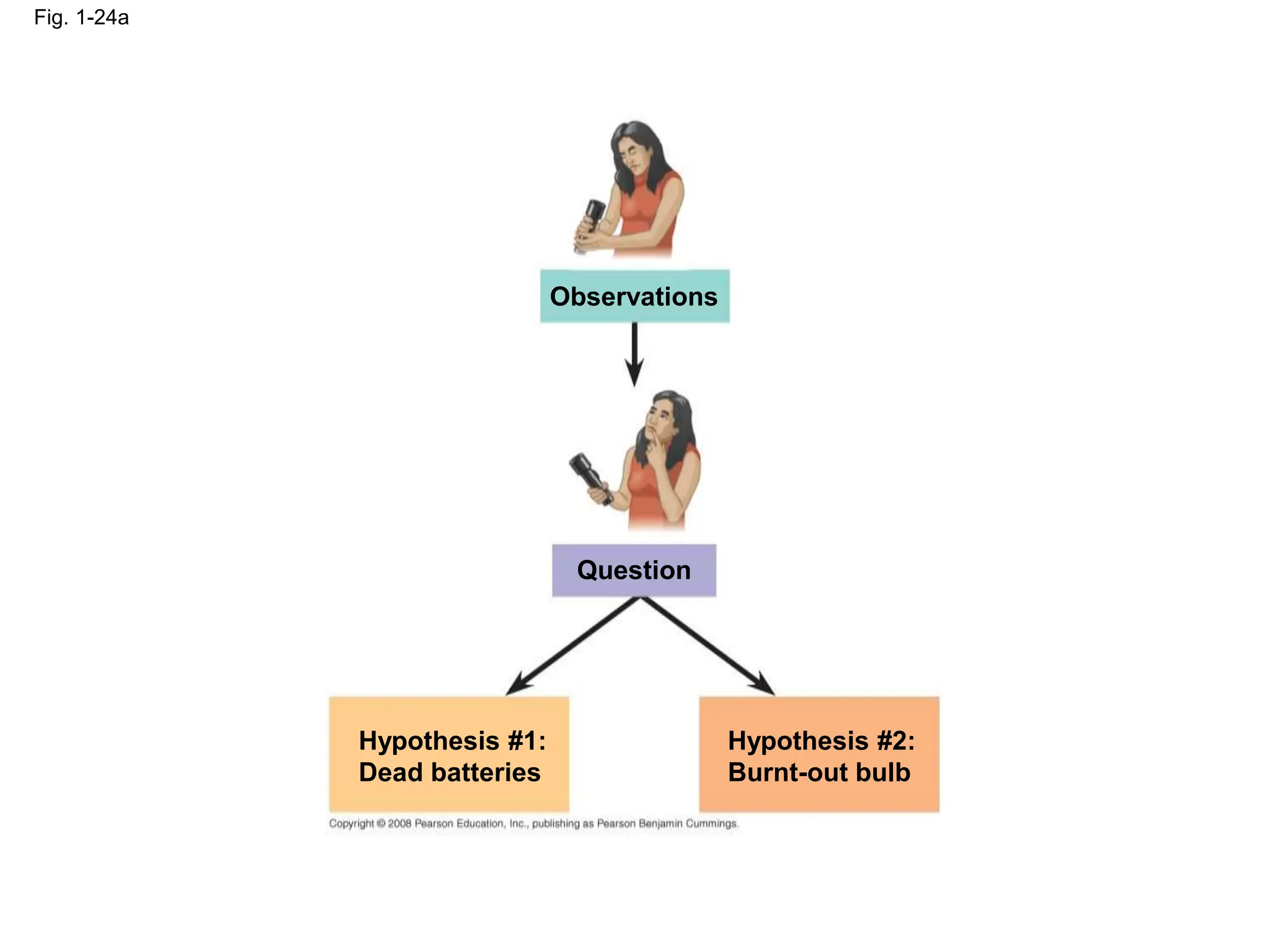 Fig. 1-24a
Observations
Question
Hypothesis #1:
Dead batteries
Hypothesis #2:
Burnt-out bulb
 