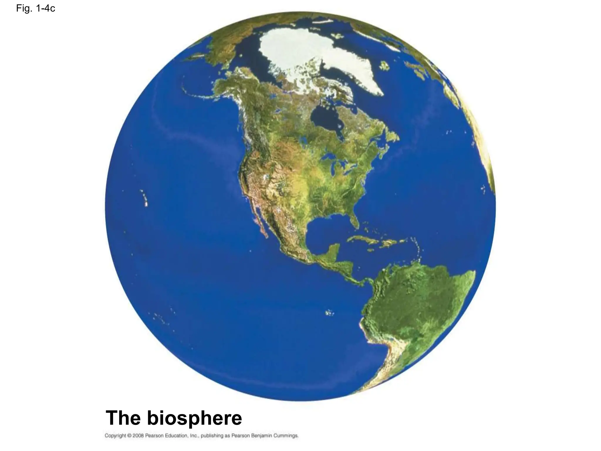 Fig. 1-4c
The biosphere
 