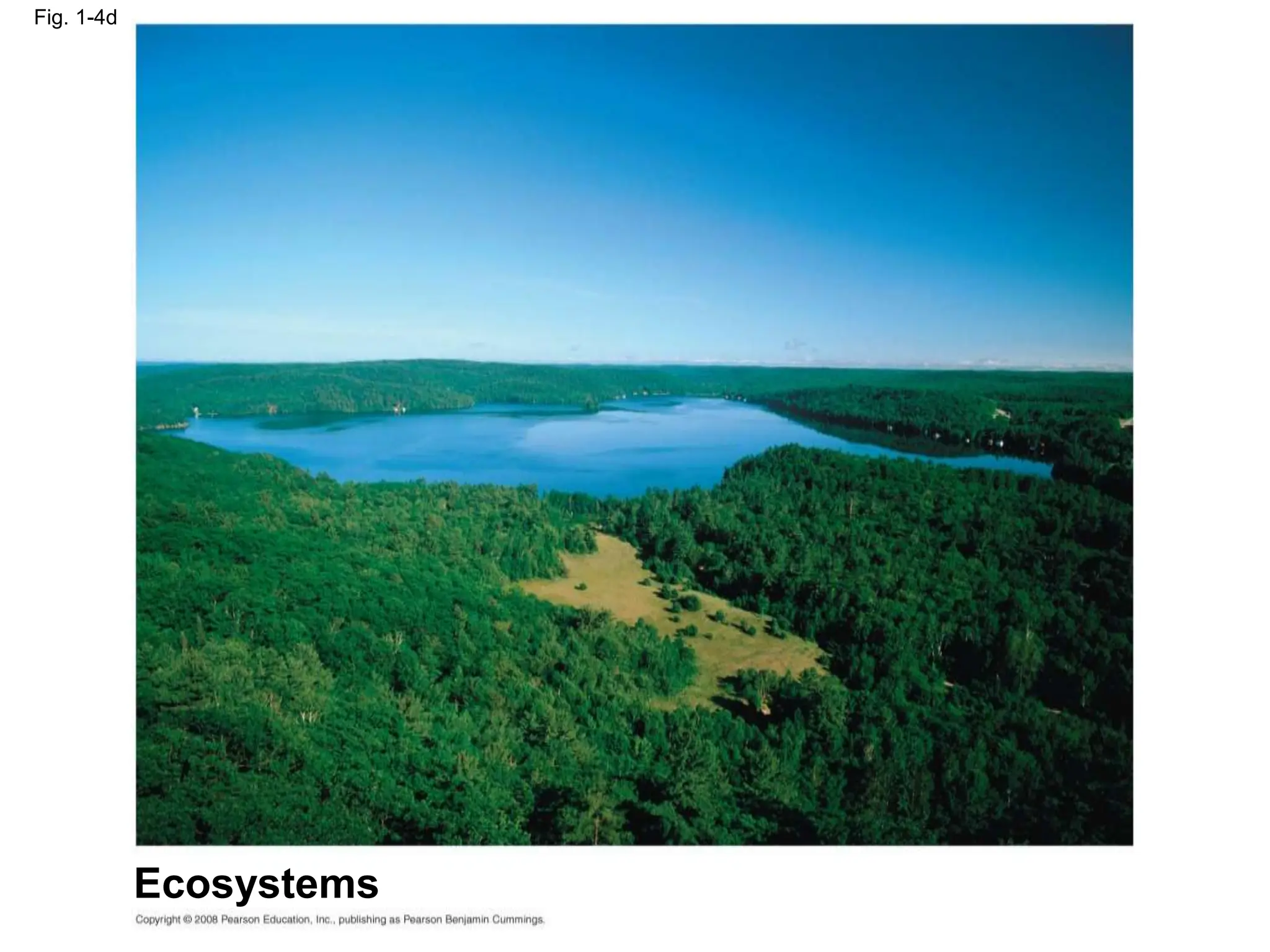 Fig. 1-4d
Ecosystems
 
