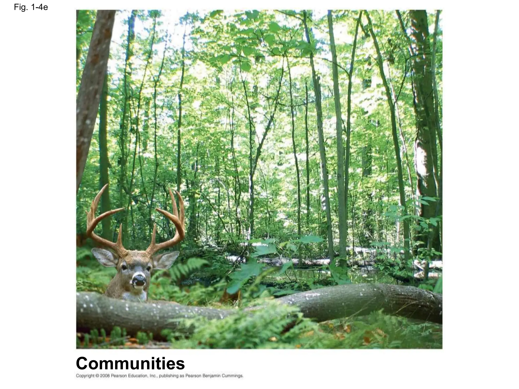 Fig. 1-4e
Communities
 