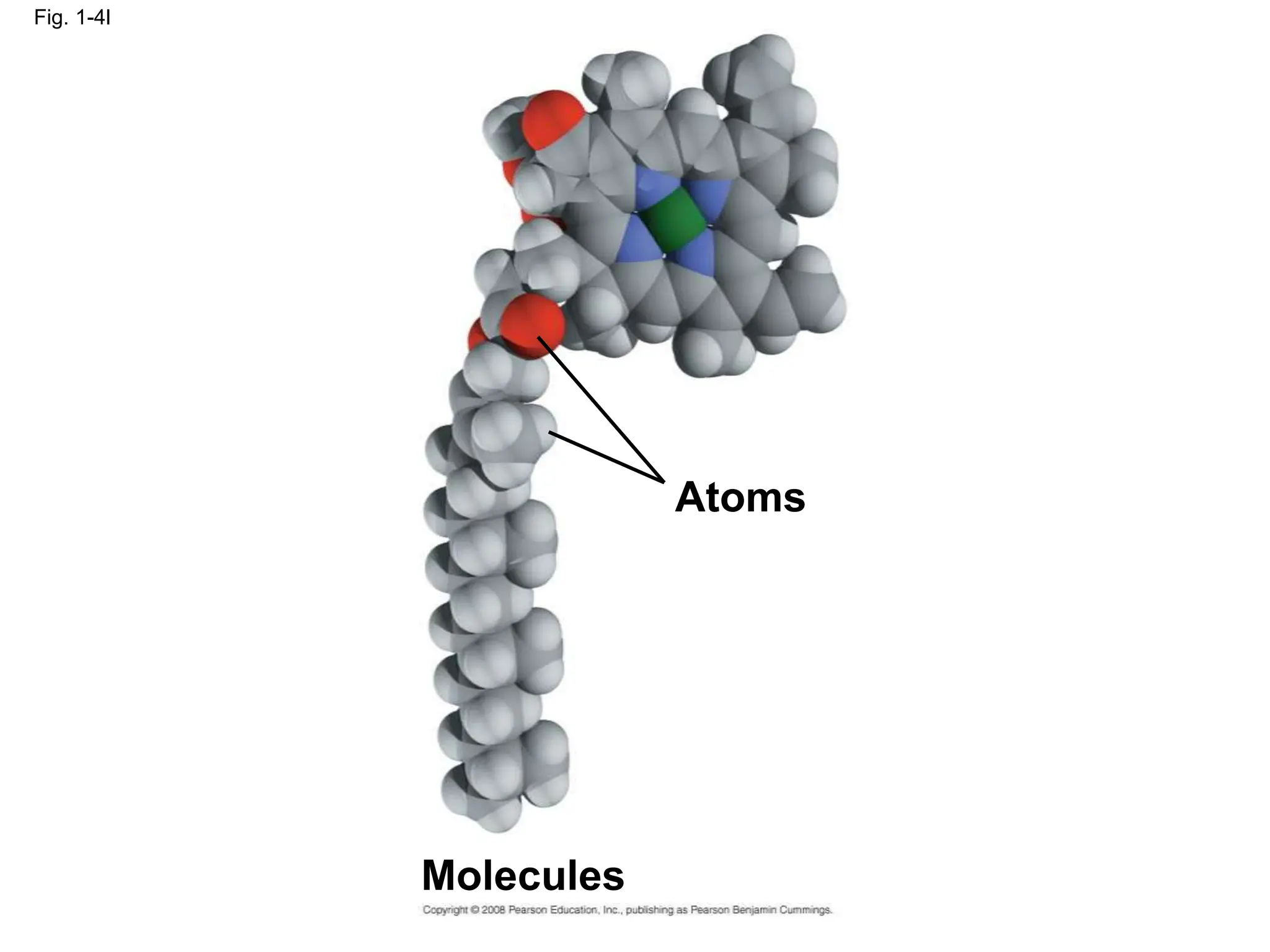 Fig. 1-4l
Atoms
Molecules
 