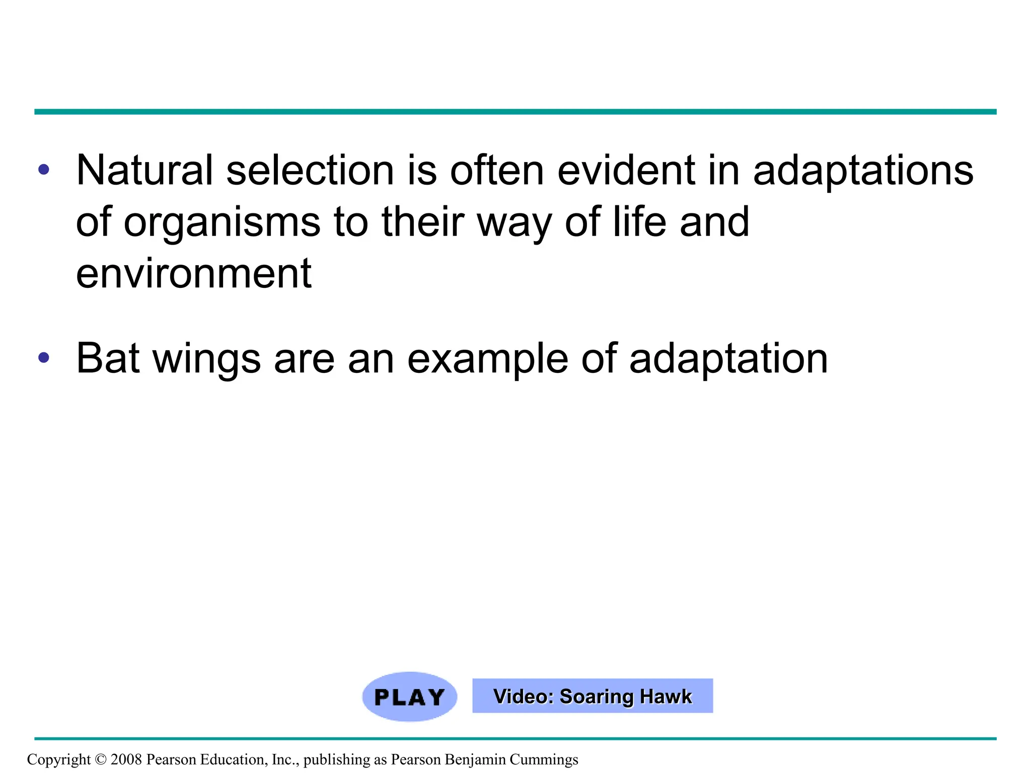 • Natural selection is often evident in adaptations
of organisms to their way of life and
environment
• Bat wings are an example of adaptation
Video: Soaring Hawk
Copyright © 2008 Pearson Education, Inc., publishing as Pearson Benjamin Cummings
 