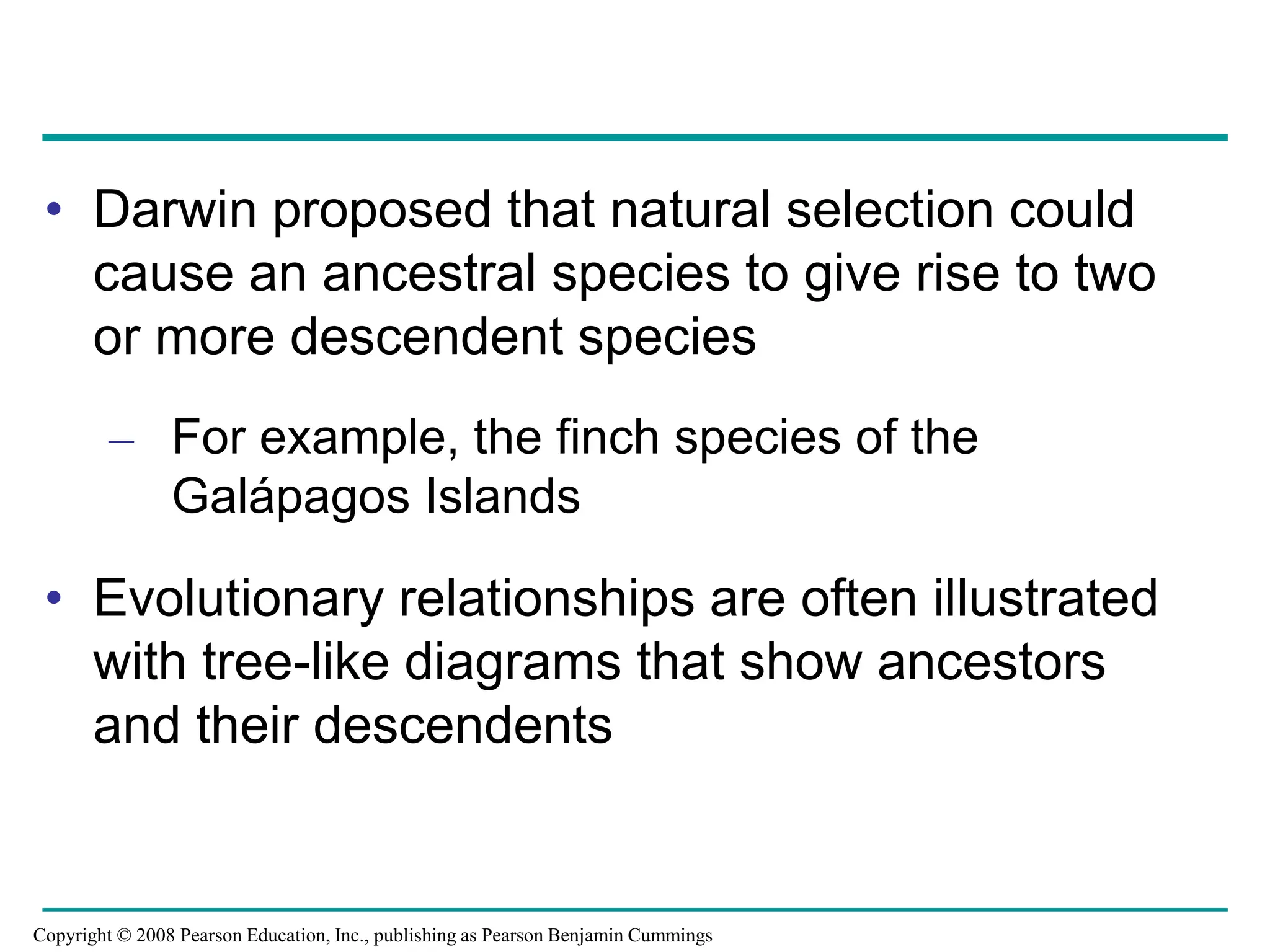 • Darwin proposed that natural selection could
cause an ancestral species to give rise to two
or more descendent species
– For example, the finch species of the
Galápagos Islands
• Evolutionary relationships are often illustrated
with tree-like diagrams that show ancestors
and their descendents
Copyright © 2008 Pearson Education, Inc., publishing as Pearson Benjamin Cummings
 