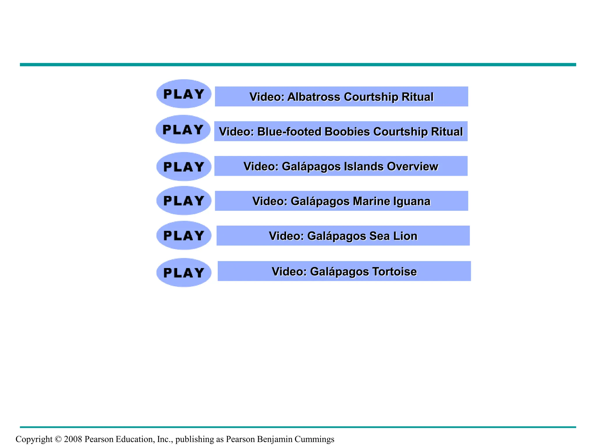 Video: Albatross Courtship Ritual
Video: Blue-footed Boobies Courtship Ritual
Video: Galápagos Marine Iguana
Video: Galápagos Sea Lion
Video: Galápagos Islands Overview
Video: Galápagos Tortoise
Copyright © 2008 Pearson Education, Inc., publishing as Pearson Benjamin Cummings
 