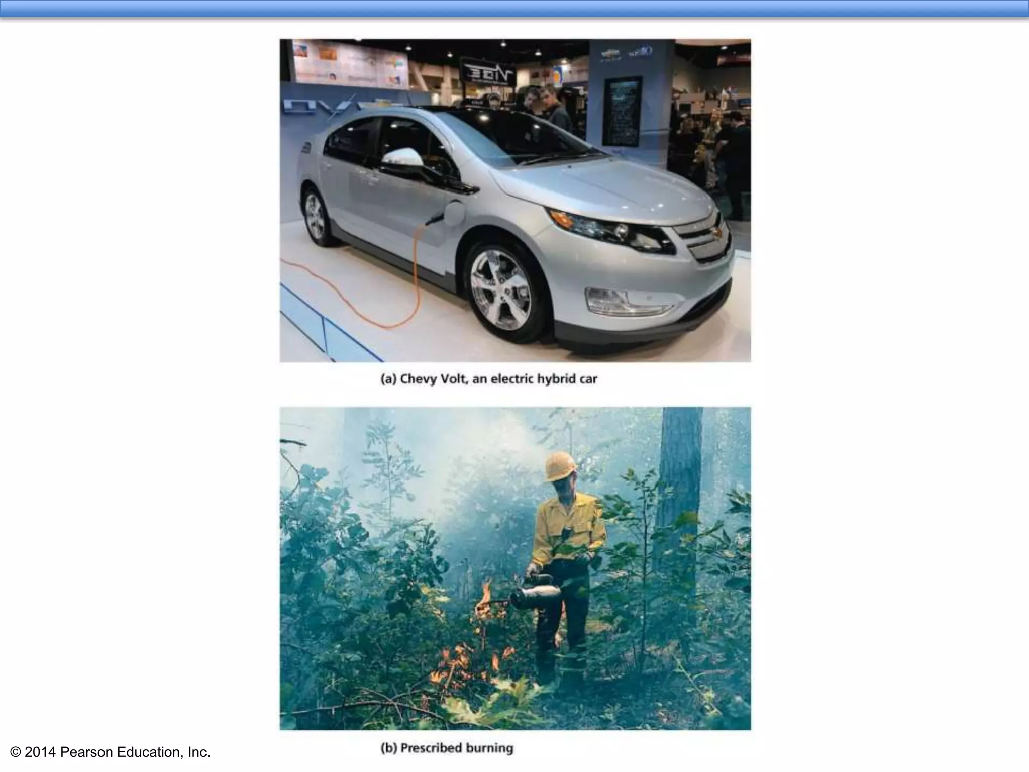 © 2014 Pearson Education, Inc.
 