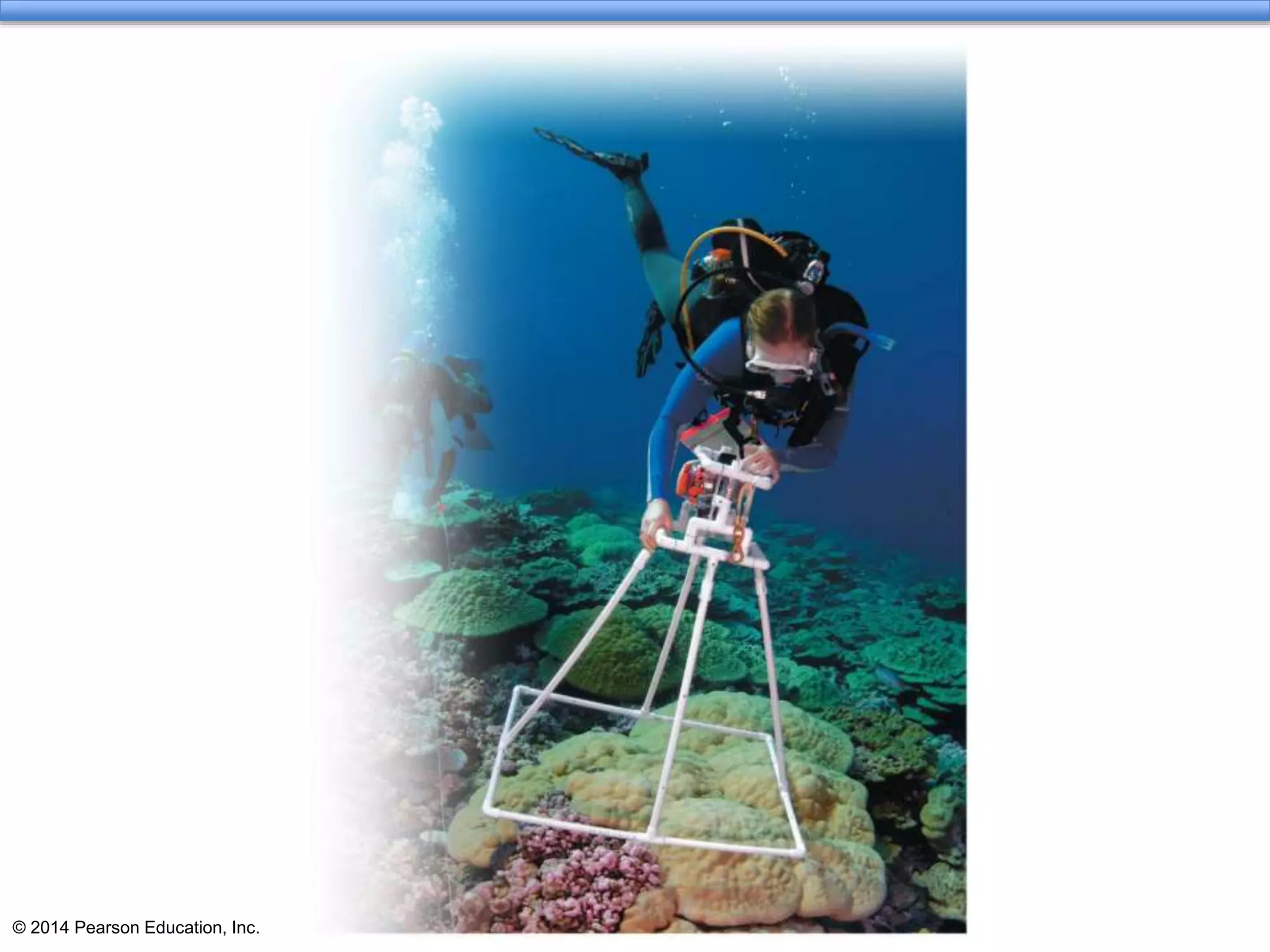 © 2014 Pearson Education, Inc.
 