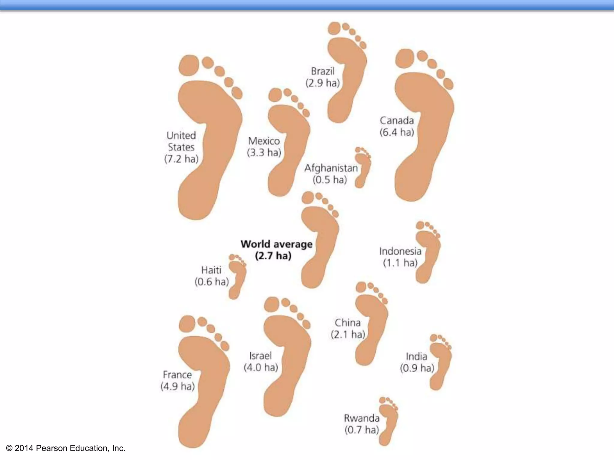 © 2014 Pearson Education, Inc.
 