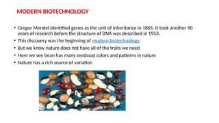 MODERN BIOTECHNOLOGY
• Gregor Mendel identified genes as the unit of inheritance in 1865. It took another 90
years of research before the structure of DNA was described in 1953.
• This discovery was the beginning of modern biotechnology.
• But we know nature does not have all of the traits we need
• Here we see bean has many seedcoat colors and patterns in nature
• Nature has a rich source of variation
 
