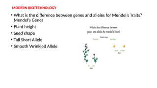 MODERN BIOTECHNOLOGY
• What is the difference between genes and alleles for Mendel’s Traits?
Mendel’s Genes
• Plant height
• Seed shape
• Tall Short Allele
• Smooth Wrinkled Allele
 