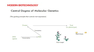MODERN BIOTECHNOLOGY
 