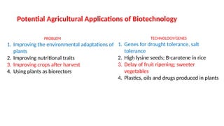 Potential Agricultural Applications of Biotechnology
PROBLEM
1. Improving the environmental adaptations of
plants
2. Improving nutritional traits
3. Improving crops after harvest
4. Using plants as biorectors
TECHNOLOGY/GENES
1. Genes for drought tolerance, salt
tolerance
2. High lysine seeds; B-carotene in rice
3. Delay of fruit ripening; sweeter
vegetables
4. Plastics, oils and drugs produced in plants
 