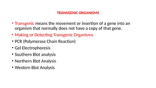TRANSGENIC ORGANISMS
• Transgenic means the movement or insertion of a gene into an
organism that normally does not have a copy of that gene.
• Making or Detecting Transgenic Organisms
• PCR (Polymerase Chain Reaction)
• Gel Electrophoresis
• Southern Blot analysis
• Northern Blot Analysis
• Western Blot Analysis
 