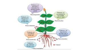 01_Lecture_presntation.pptx 1 lecture presentation