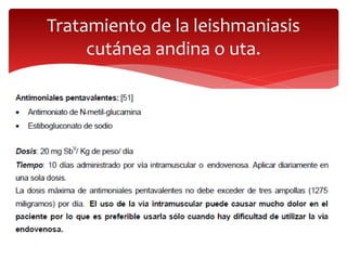 Tratamiento de la leishmaniasis
cutánea andina o uta.
 