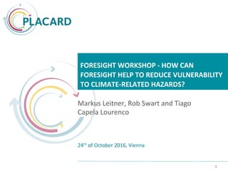1	1	
	
	
FORESIGHT	WORKSHOP	-	HOW	CAN	
FORESIGHT	HELP	TO	REDUCE	VULNERABILITY	
TO	CLIMATE-RELATED	HAZARDS?	
Markus	Leitner,	Rob	Swart	and	Tiago	
Capela	Lourenco	
24th	of	October	2016,	Vienna	
 