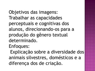 Objetivos das imagens:
Trabalhar as capacidades
perceptuais e cognitivas dos
alunos, direcionando-os para a
produção do gênero textual
determinado.
Enfoques:
Explicação sobre a diversidade dos
animais silvestres, domésticos e a
diferença dos de criação.
 