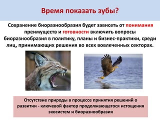 Время показать зубы? 
Сохранение биоразнообразия будет зависеть от понимания преимуществ и готовности включить вопросы биоразнообразия в политику, планы и бизнес-практики, среди лиц, принимающих решения во всех вовлеченных секторах. 
Отсутствие природы в процессе принятия решений о развитии - ключевой фактор продолжающегося истощения экосистем и биоразнообразия  