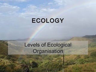 ECOLOGY



Levels of Ecological
   Organisation


                       ALBIO9700/2006JK
 