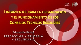 LINEAMIENTOS PARA LA ORGANIZACIÓN
Y EL FUNCIONAMIENTO DE LOS
CONSEJOS TÉCNICOS ESCOLARES
 
