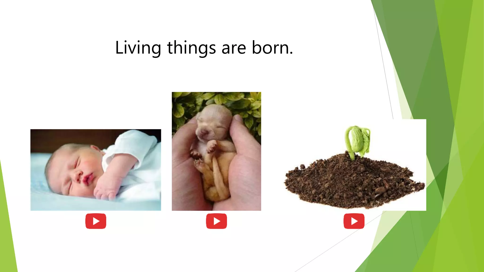 Living and non living things PPT