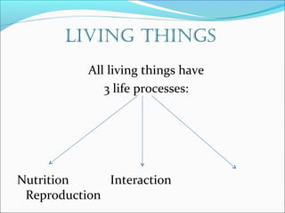 LIVING THINGS 
All living things have 
3 life processes: 
Nutrition Interaction 
Reproduction 
 