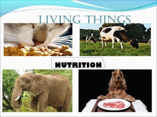 LIVING THINGS 
NUTRITION 
 
