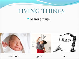 Living things 
All living things: 
are born grow die 
 