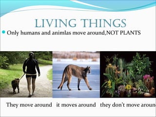 Living things 
Only humans and animlas move around,NOT PLANTS 
They move around it moves around they don’t move around 
 
