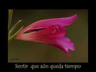 Sentir que aún queda tiempo
 