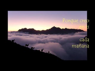 Porque creo
       en ti

      cada
    mañana
 