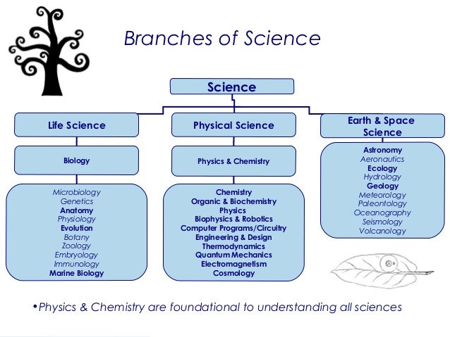 Matter and Molecules