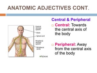 01 Medical Terminology.ppt22222222222222 | PPT