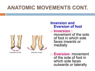 Foot Inward Inversion 01 Medical Terminology.ppt22222222222222 | PPT