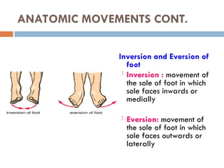 Foot Inward Inversion 01 Medical Terminology presentation .ppt